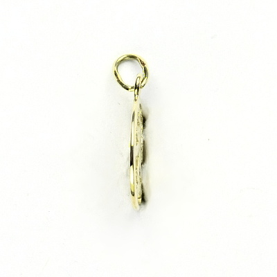 Zlatý přívěsek, Český lev v kruhu , žluté zlato - P 465