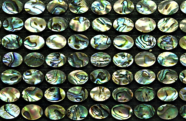 Zlatý prsten, bílé i žluté zlato, přírodní perleť - Paua mušle - T 1454