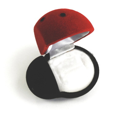 Dárková sametová krabička na šperky beruška - FU-58/A7