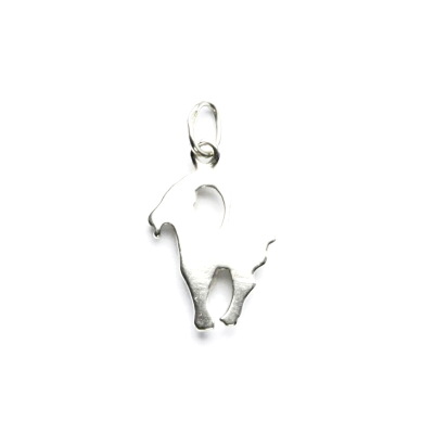 Stříbrný přívěsek, kozoroh, P 453