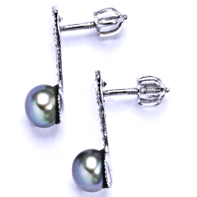 Náušnice stříbrné s přírodní světle šedou perlou NŠ 1241 pp