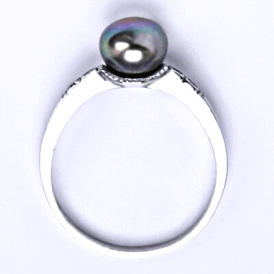 Stříbrný prsten s přírodní perlou černou (do zelena 8 mm, T 1211