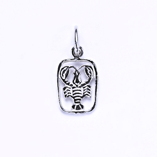 Stříbrný přívěšek, stříbrné šperky, P 730 váhy