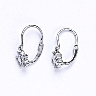 1 Dětské náušnice stříbrné s čirým zirkonem,pomněnka, NK 1391