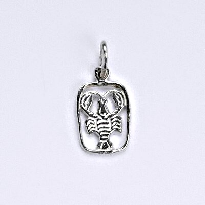Zlatý přívěsek, znamení zvěrokruhu rak, bílé zlato,14 kt, P 730
